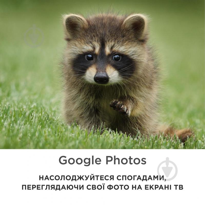 Телевизор iFFALCON iFF43U62 - фото 14