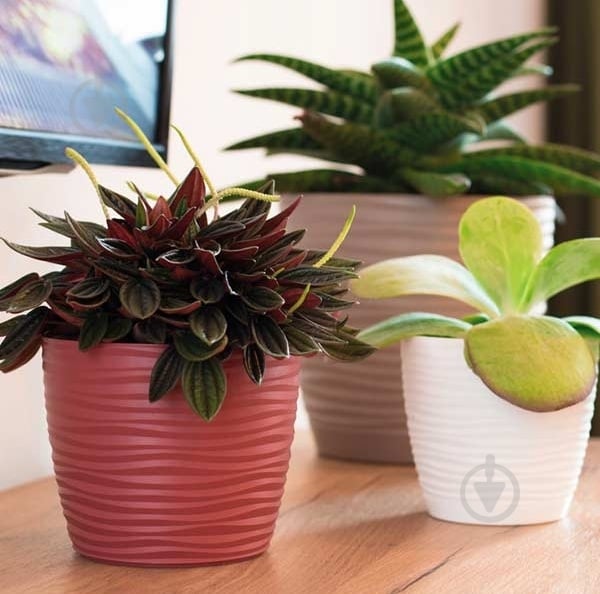 Горщик для квітів пластик Сахара-15 з підставкою круглий зелений чай 1,7 л Form Plastic - фото 2 Горщик для квітів пластик Сахара-15 з підставкою круглий зелений чай 1,7 л Form Plastic - фото 2