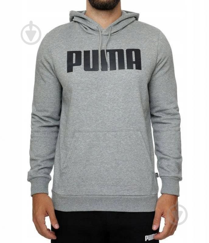 Джемпер Puma ESS HOODIE TR BIG PUMA M 84722803 р.S серый - фото 1