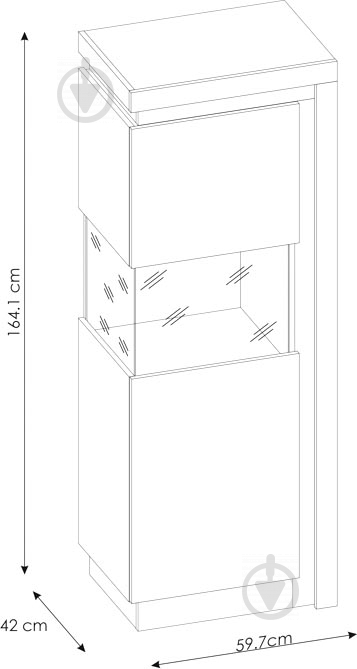 Вітрина LYON LYOV01 L 1D платинум/темно-сірий - фото 4