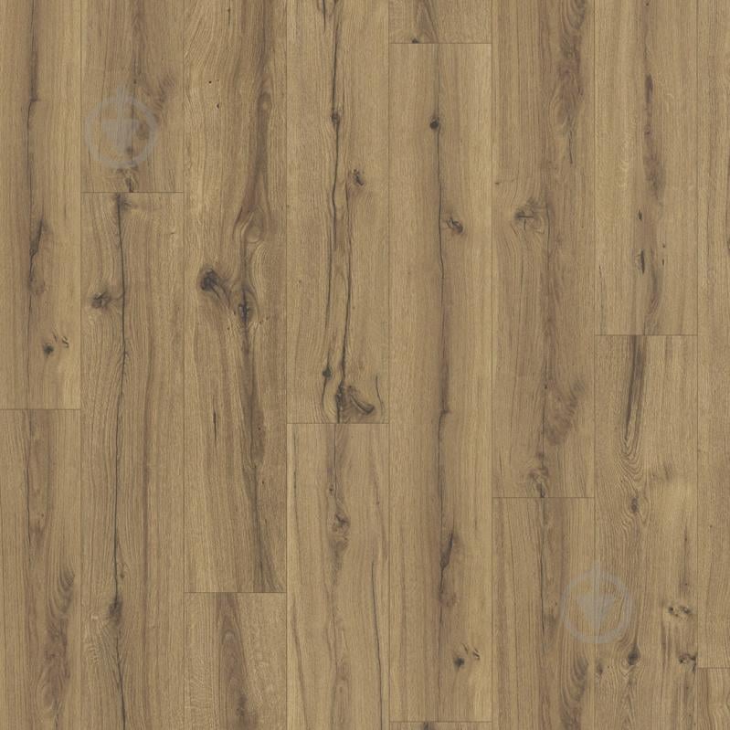 Ламинат PARADOR Basic 400 V4 дуб хистори 32/АС4/8 мм (1593795) - фото 1 Ламинат PARADOR Basic 400 V4 дуб хистори 32/АС4/8 мм (1593795) - фото 1