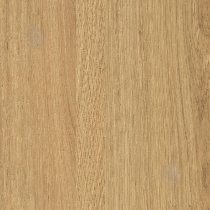 Ламинат Wineo Medium 500 V4 дуб шампань 32/АС4/9 мм - фото 1