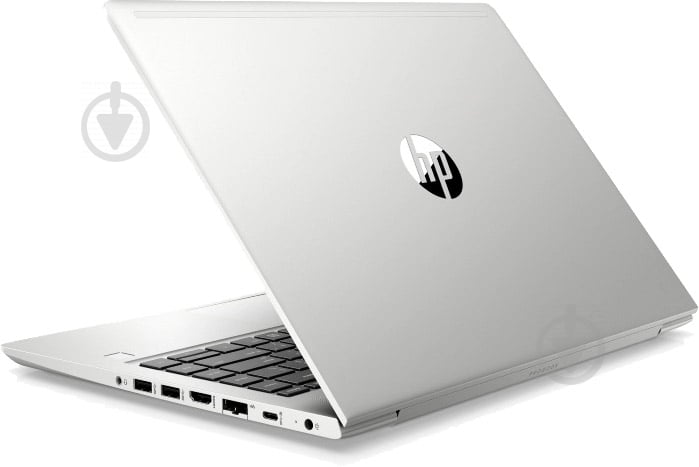 Ноутбук HP Probook 445 G6 14 (7HW15AV_V4) silver - фото 4