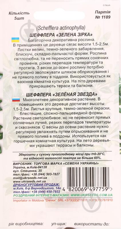 Семена Насіння України шеффлера Зеленая звезда 5 шт. - фото 2