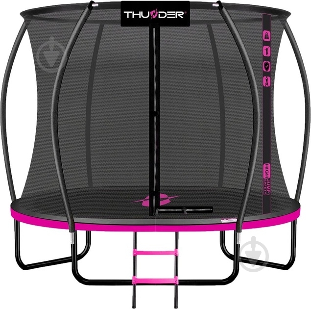 Батут з сіткою і драбинкою Thunder INSIDE-ULTRA-10FT - фото 1