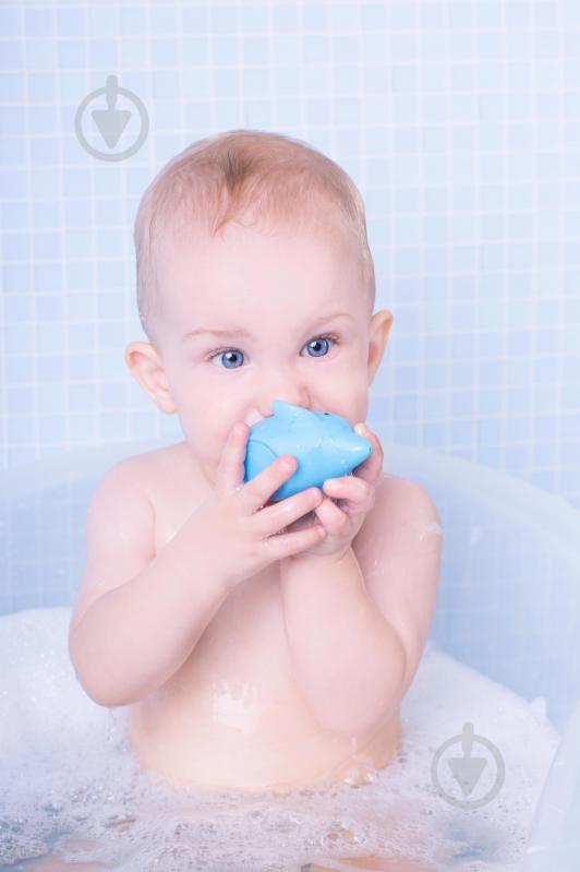 Игрушка Bebelino Дельфин со светом для игры в воде 58094 - фото 4