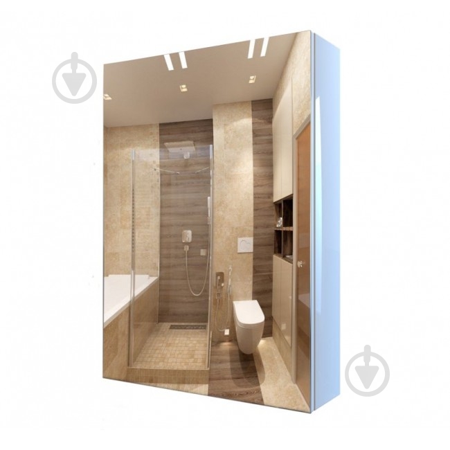 Зеркальный шкаф Aquarius Standard 50 - фото 1