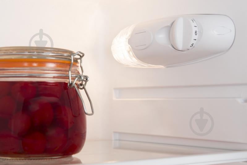 Холодильник Hansa FD207.4 - фото 5