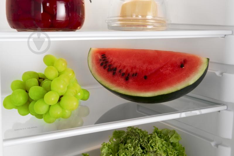 Холодильник Hansa FD207.4 - фото 8