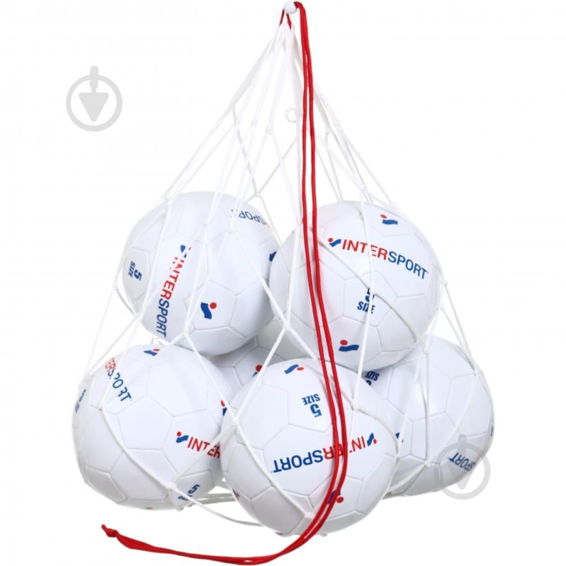 Сетка Pro Touch для 6 мячей 413660-001 белый - фото 3