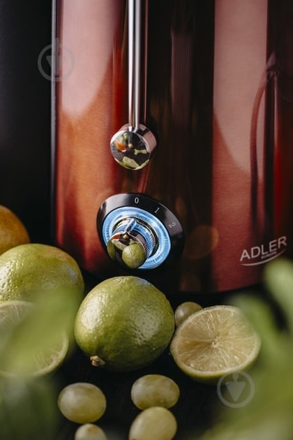 Соковыжималка Adler AD4129 - фото 7 Соковыжималка Adler AD4129 - фото 7