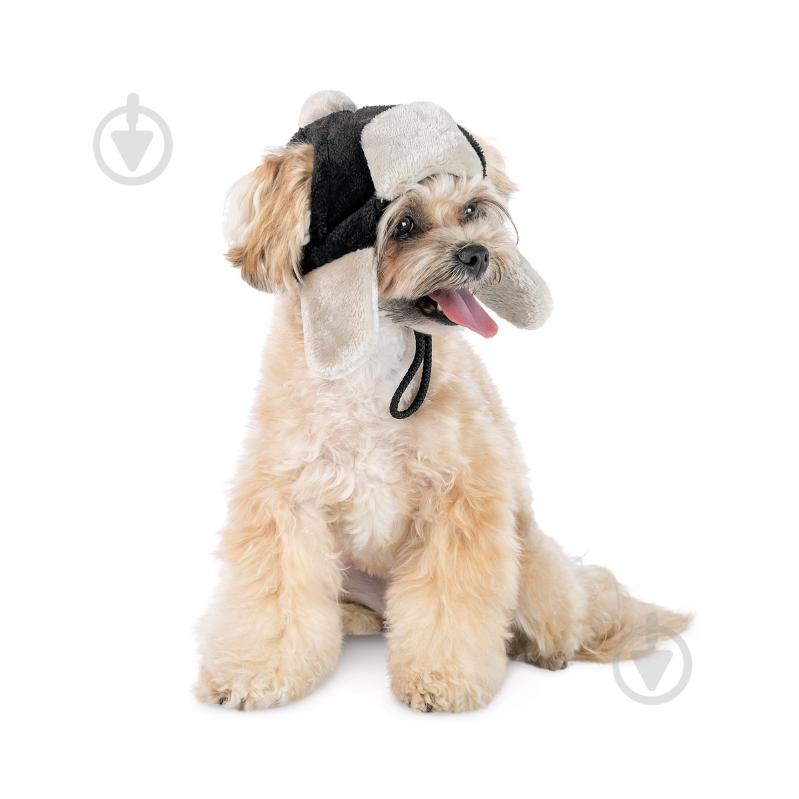 Шапка Pet Fashion Bubo р. S черная - фото 3 Шапка Pet Fashion Bubo р. S черная - фото 3
