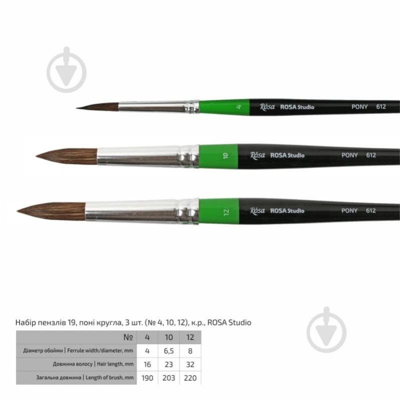 Набор кистей 19 3 шт. №4, 10, 12 Rosa Studio - фото 2