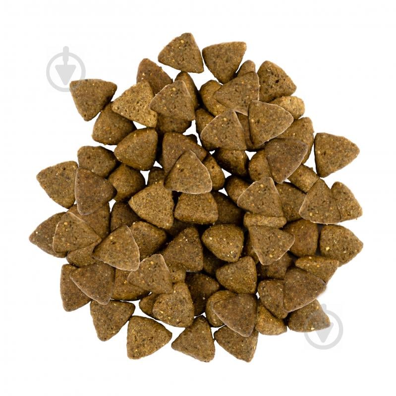Корм для малых пород Savory сухой для собак гурманов малых пород Свежий ягненок 3 кг 3 кг - фото 2