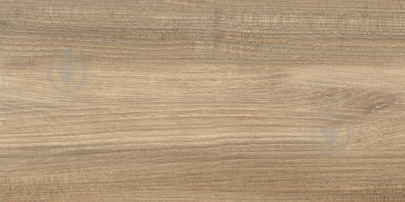 Плитка Ceramika Color Brentwood Honey Rett 30x60 см - фото 1