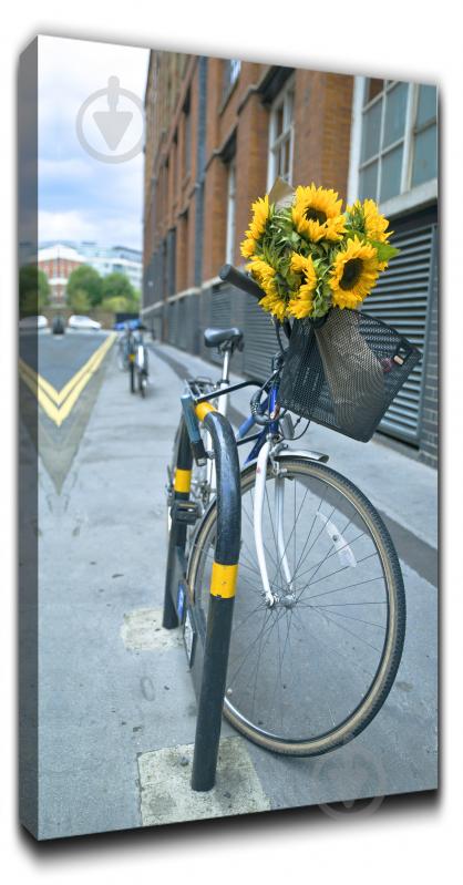 Репродукція AF Bicycle 168 28x50 см RozenfeldArt - фото 1