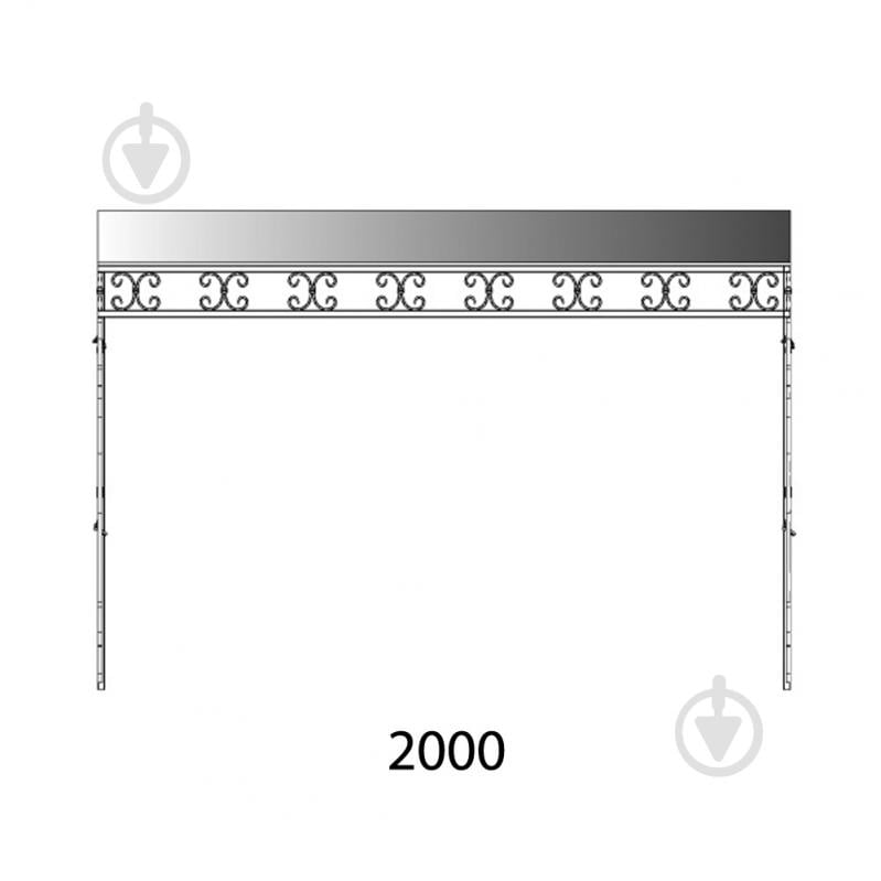 Навес кованый Артдеко КН-19 2000х1375х1380 мм - фото 2
