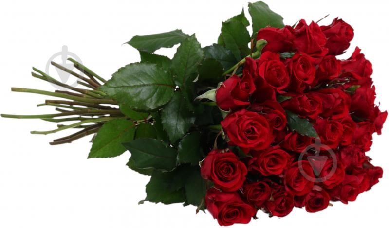 Троянда Ред ігл одноголова класична 70 см червона (Україна) - фото 2