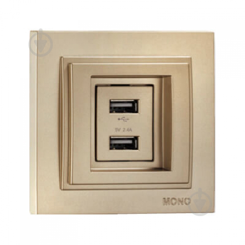 Розетка USB подвійна Mono Electric Despina титан 102-222205-178 - фото 1