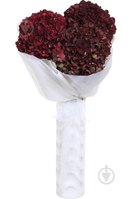Гортензія Magical Ruby Red 70 см червоний - фото 1