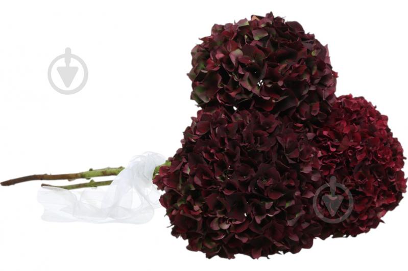 Гортензія Magical Ruby Red 70 см червоний - фото 3