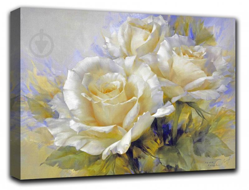 Репродукція White Rose 1 60x80 см RozenfeldArt - фото 1