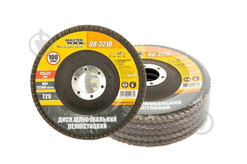 Круг лепестковый MasterTool 5 шт. 125 мм P100 08-3210PC - фото 1