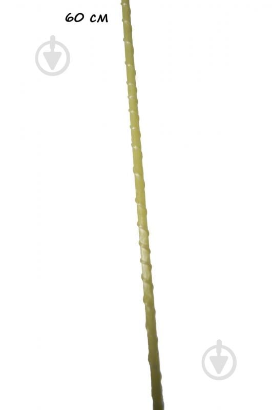 Опора для растений Elsa PCBP 60 - фото 1