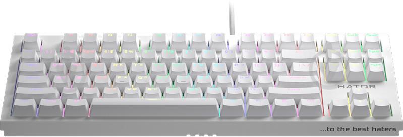 Клавиатура игровая Hator Skyfall (HTK-656) TKL PRO white - фото 2