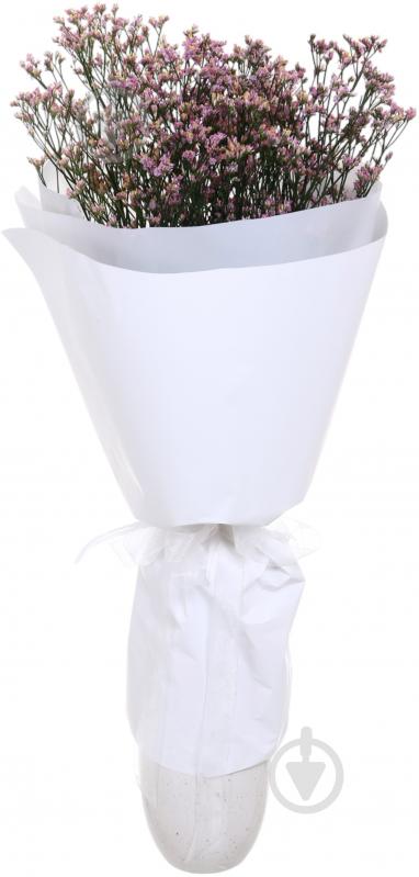 Хамелациум розовый (Нидерланды) - фото 4 Хамелациум розовый (Нидерланды) - фото 4