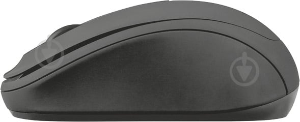 Мышь Trust Ziva Wireless Compact Mouse (21509) black (21509) - фото 2 Мышь Trust Ziva Wireless Compact Mouse (21509) black (21509) - фото 2