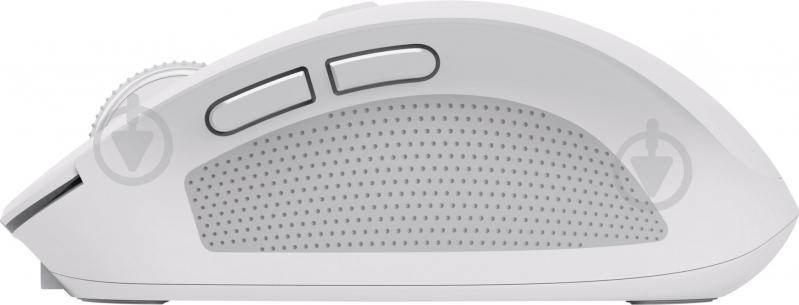 Мышь Trust OZZA compact BT/WL/USB-A white (24933_TRUST) - фото 4