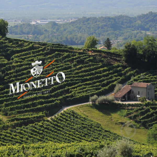 Вино ігристе Mionetto Prestige Collection Prosecco Treviso DOC 0,2 л - фото 2