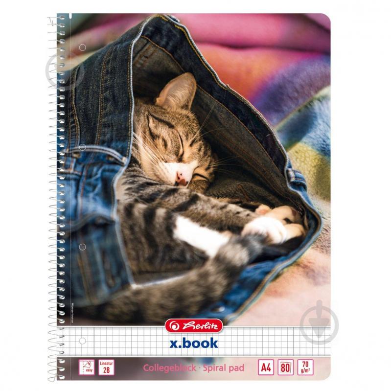 Блокнот Jeans Cat Кошеня А4 80 аркушів в клітинку 50030989C Herlitz - фото 1