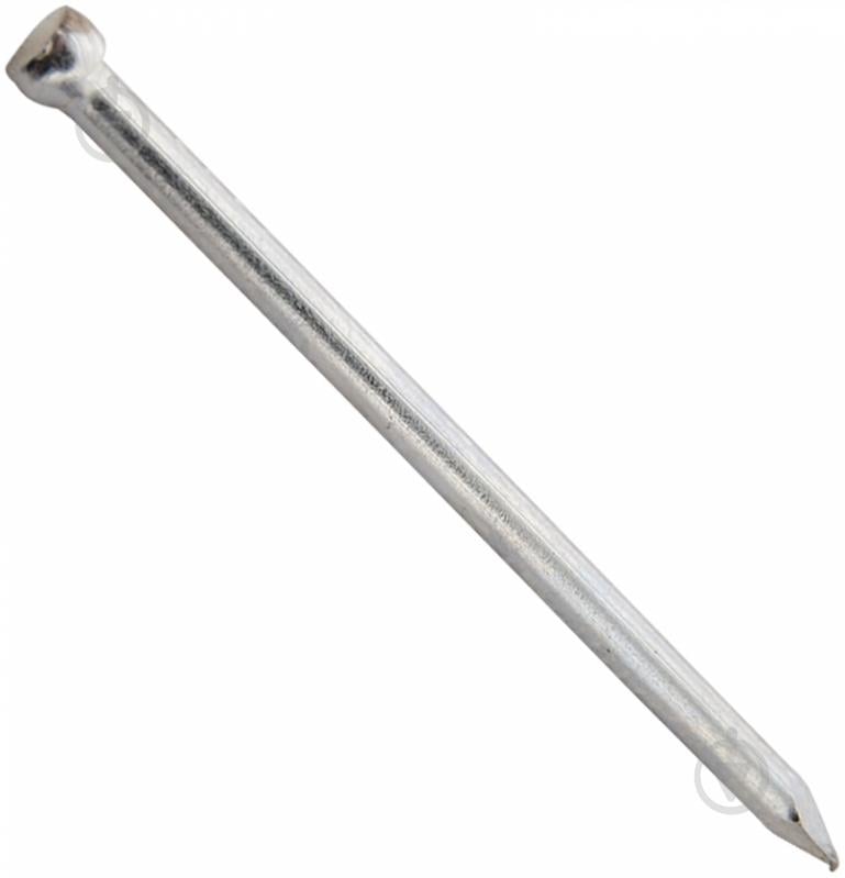 Гвозди столярные 1,6x30 мм DIN 1152 вес белый цинк (STG16030-1/2) - фото 1