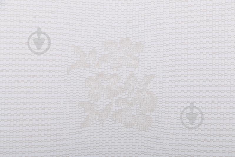 Тюль Рашел 300x270 55124 V8905 Arya - фото 2 Тюль Рашел 300x270 55124 V8905 Arya - фото 2