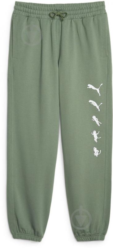 Брюки Puma PUMA X RIPNDIP SWEATPANTS TR 62219944 р. M зеленый - фото 1