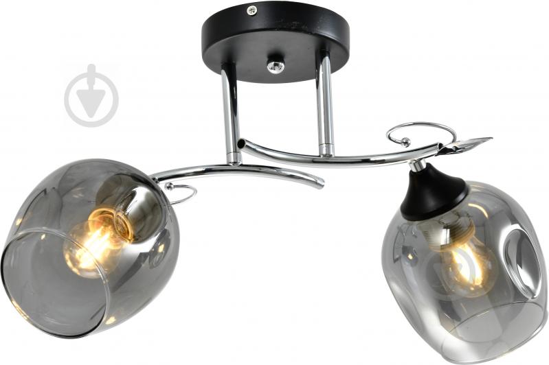 Светильник настенный Accento lighting Toulon 2x60 Вт E27 хром/черный ALPL-PL202011-2 - фото 1