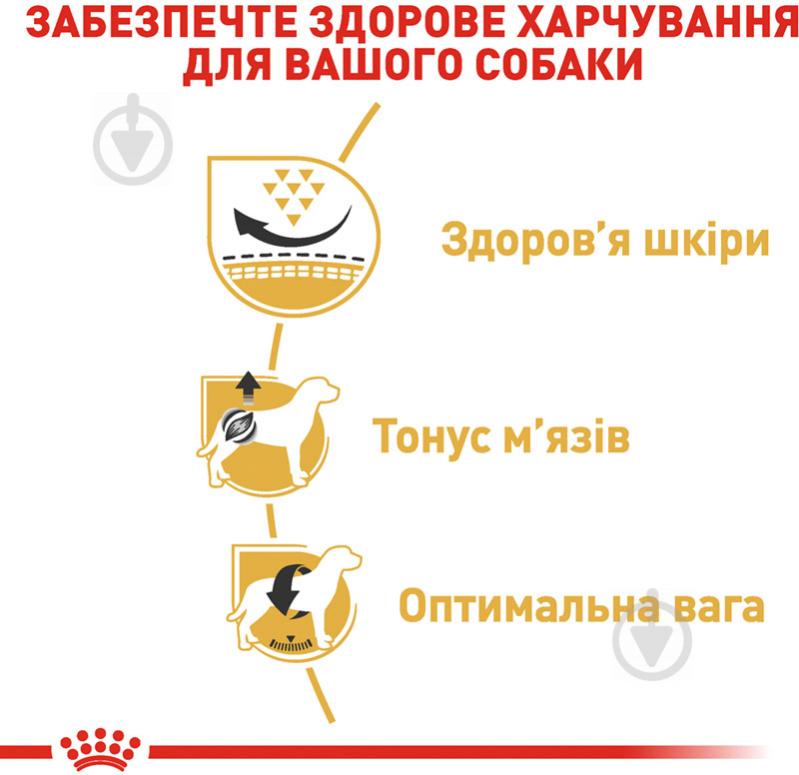 Корм для средних пород Royal Canin для собак PUG ADULT 3 кг (домашняя птица) 3 кг - фото 5
