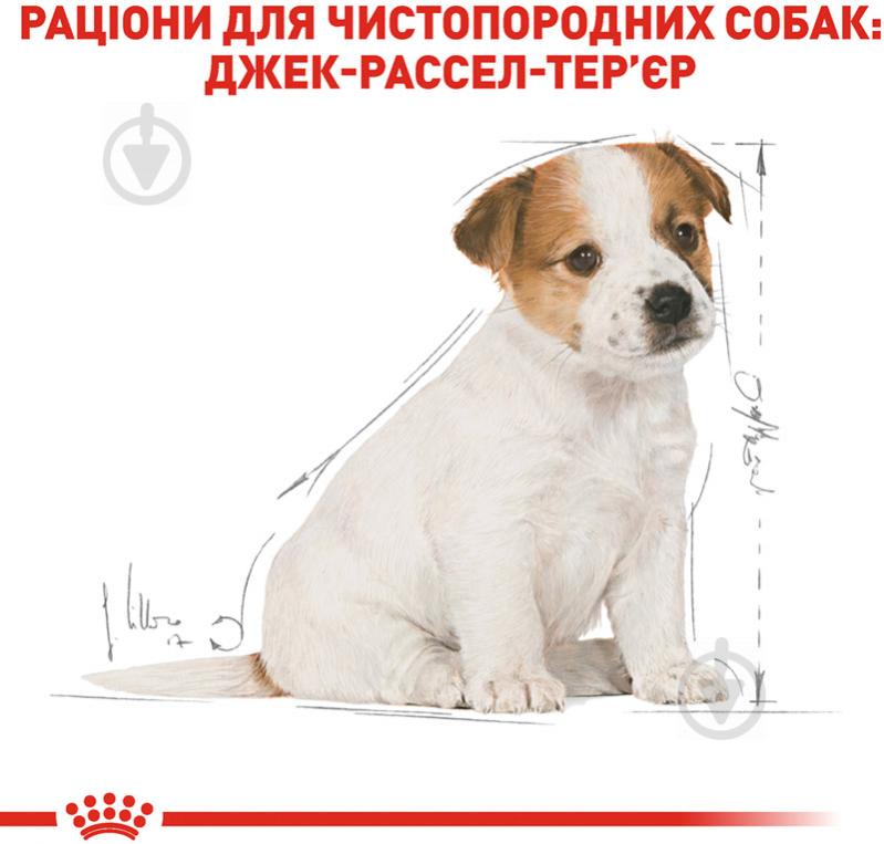 Корм сухий для цуценят для середніх порід Royal Canin для щенков JACK RUSSEL PUPPY 500 г (домашня птиця) 500 г - фото 3