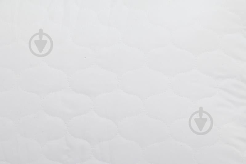 Набор Basic Aloe vera одеяло и подушка 155х215 см Songer und Sohne - фото 3 Набор Basic Aloe vera одеяло и подушка 155х215 см Songer und Sohne - фото 3