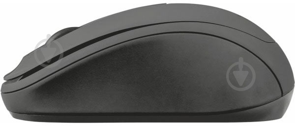 Мышь Trust Ziva Wireless Compact mouse 21509 black (6292934) - фото 2