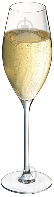 Набір бокалів для шампанського CD'A 240 мл 4 шт. - фото 2 Набір бокалів для шампанського CD'A 240 мл 4 шт. - фото 2
