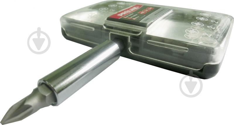 Набор бит Profix 10 шт. 10699 - фото 2