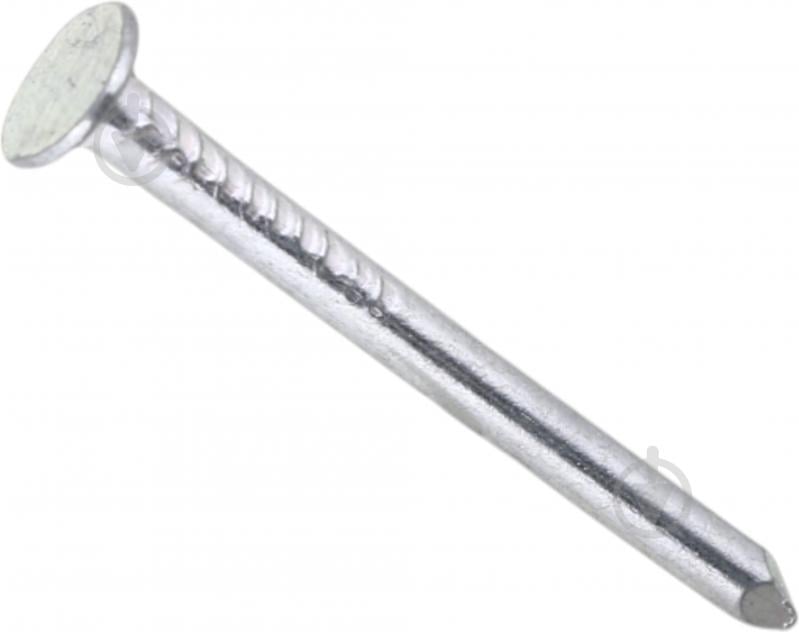 Гвозди кровельные 3,1x40 мм Expert Fix DIN 1160 1 кг белый цинк (KRG31040-2me) - фото 1