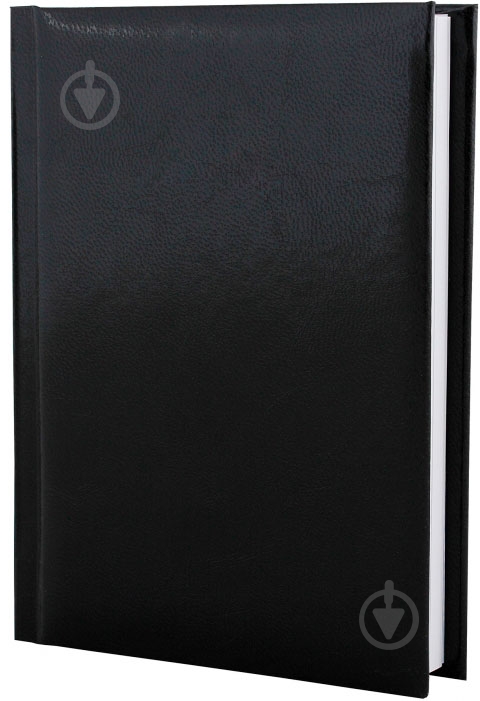 Книга телефонная черный Economix Flash A6 E20728-01 - фото 1 Книга телефонная черный Economix Flash A6 E20728-01 - фото 1
