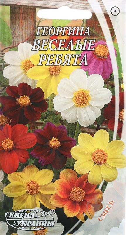 Семена Насіння України георгина Веселые ребята 0,5 г - фото 1
