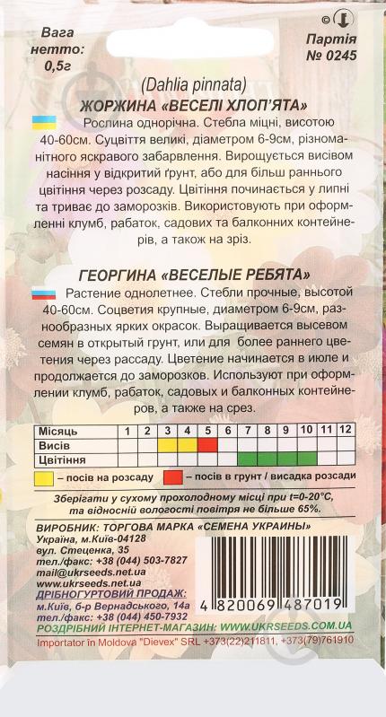 Семена Насіння України георгина Веселые ребята 0,5 г - фото 2