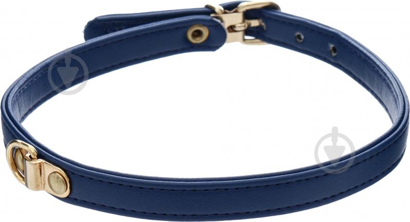 Ошейник Camon 1x32-39 см синий - фото 1