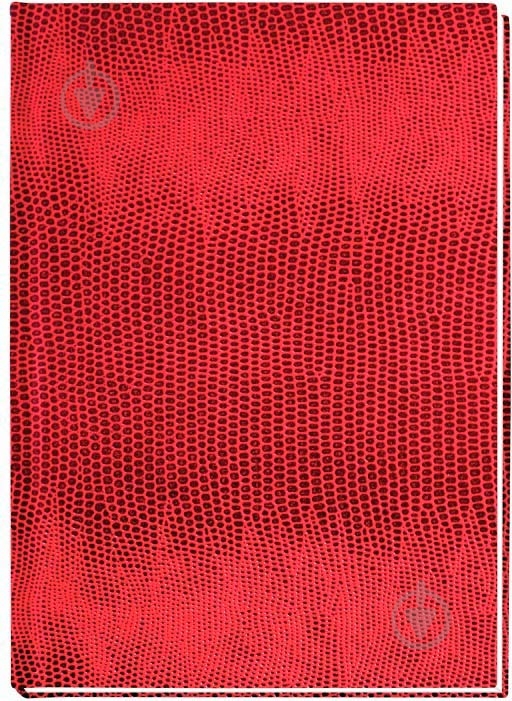 Блокнот А5 E21904-03 Economix - фото 1